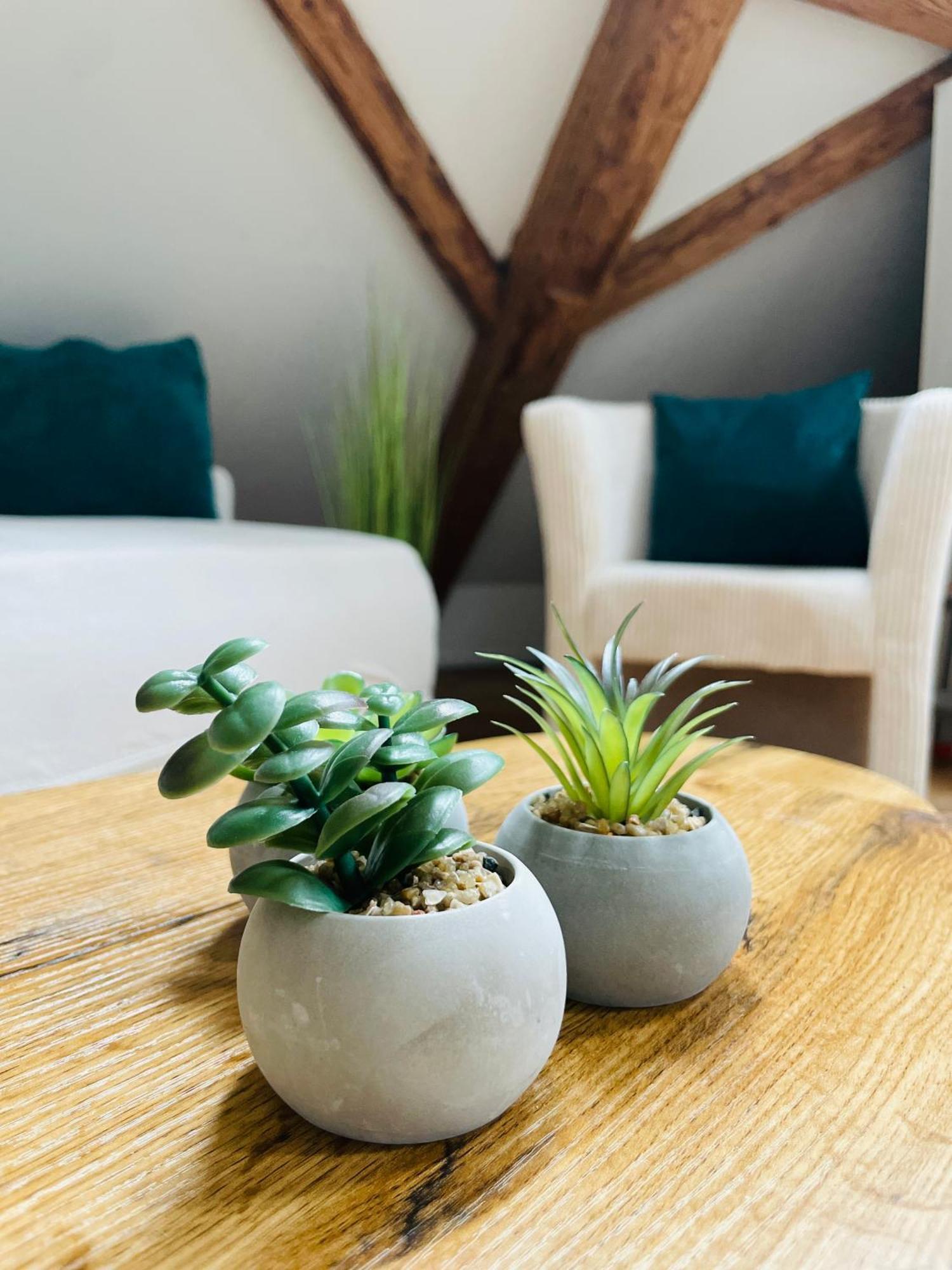 Appartement Villa Seeliebe Tägerwilen Extérieur photo